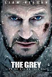 The Grey 2011 Hindi Dubbed 300MB 480p Filmy4WEB
